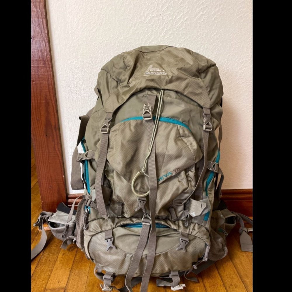 Gregory Olive and Teal Backpack